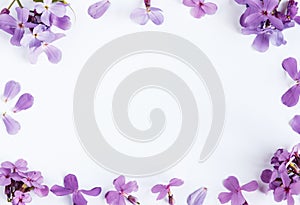 Purple flowers on white marble background with room for text