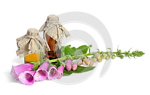 Purple foxglove with pharmaceutical bottle.