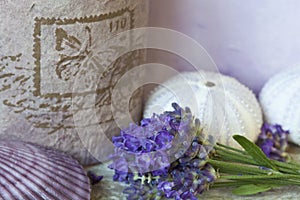 Purple Fragrant Lavender Blossom Still Life