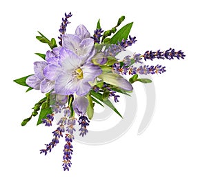 Purple freesia flowers with lavender in a corner floral arrangement isolated