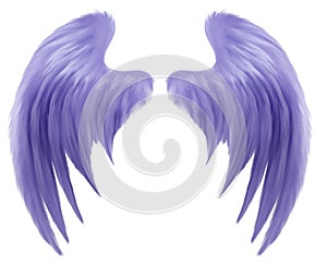 Purple Furry Fairy Wings