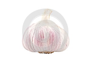 Purple Garlic