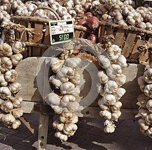 Purple garlic at a farmers market