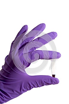 purple gloved hand photo