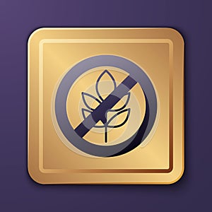 Purple Gluten free grain icon isolated Purple background. No wheat sign. Food intolerance symbols. Gold square button