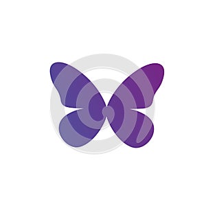 Purple gradient Butterfly Logo icon. vector illustration isolated on white background. clean design