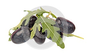 Purple grape berries and fresh green leaves of arugula Rucola or Rocket salad isolated on white background