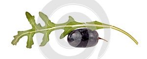 Purple grape berry and fresh green leaf of arugula Rucola or Rocket salad isolated on white background