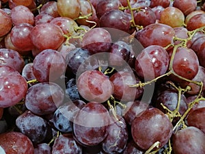 Fresh Purple Grape 2