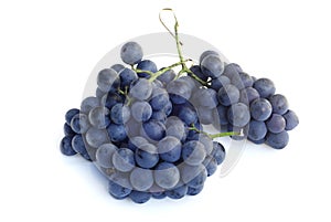 Purple Grapes