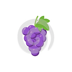 Purple Grapes isolated on white background. Vector illustration