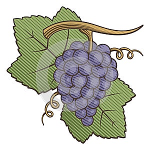 Purple Grapes Woodcut