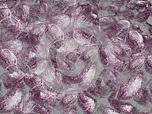 Purple and gray colored coconut texture background