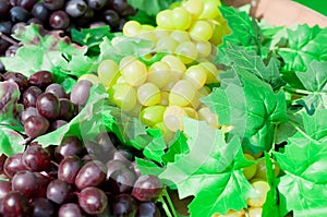 Purple and green grape on wine close up