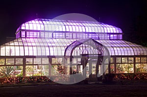 Purple Green House