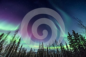 Purple and green Northern Lights- reaching for the sky
