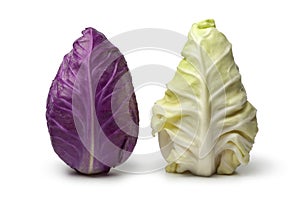 Purple and green pointed mini cabbage