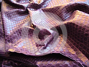 Purple haberdashery snake skin. Purple skin