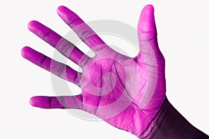 Purple Handed Orignal