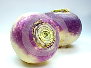 Purple headed turnips on white background