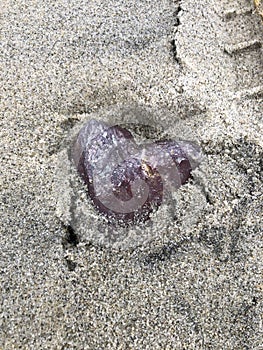 purple heart shaped rock in beach sand