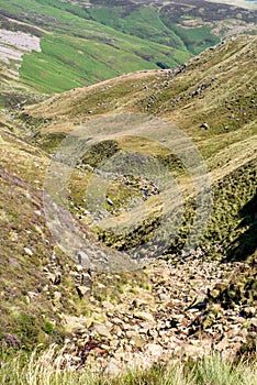 Purple Heather in the Peak District National Park