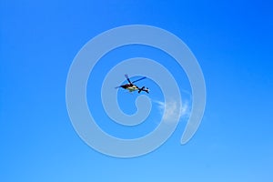 Purple helicopter tour flies against background of clear blue sky. Photo of a flying vehicle with blurred rotating blades