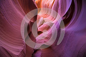 Purple Hues in Lower Antelope Canyon