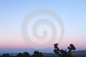 Purple Hues on Sunset at Joshua Tree National Park photo