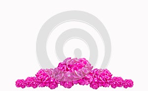 Purple Hydrangea flower Hydrangea macrophylla , Pink Flower isolated on white background