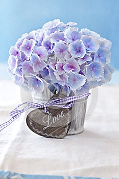 Purple hydrangea flowers