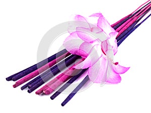 Purple incense and pink cactus flower