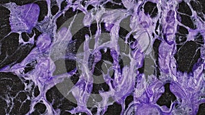 Purple ink flowing, creating an abstract pattern with purple veins and swirling ink. The fluid pattern from liquid lilac