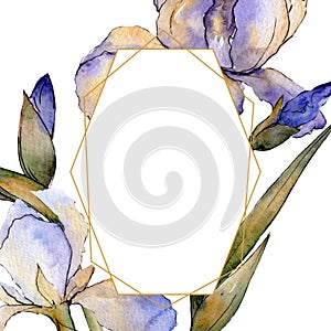 Purple iris floral botanical flower. Watercolor background illustration set. Frame border ornament square.