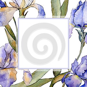 Purple iris floral botanical flower. Watercolor background illustration set. Frame border ornament square.