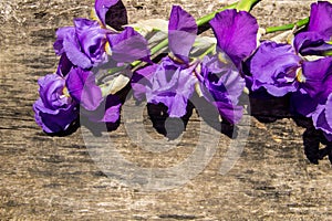 Purple iris flowers on wooden background with copy space