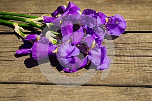 Purple iris flowers on wooden background with copy space