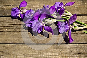 Purple iris flowers on wooden background with copy space