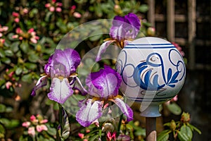 Purple Iris plant and porcelain ball