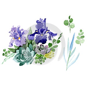 Purple irises floral botanical flower. Watercolor background illustration set. Isolated bouquet illustration element.
