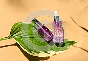 Purple jars of moisturizing serum and nourishing skin care cosmetic product on green leaf against sand color background