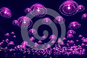 Purple jellyfish lights shine in the night sky