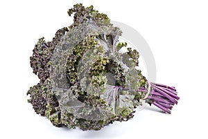 Purple Kale