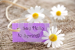 Purple Label With Life Quote Say Hello To Spring And Marguerite Blossoms