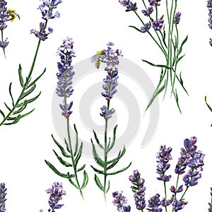 Purple lavender. Floral botanical flower. Seamless background pattern.