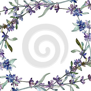 Purple lavender floral botanical flower. Watercolor background illustration set. Frame border ornament square.