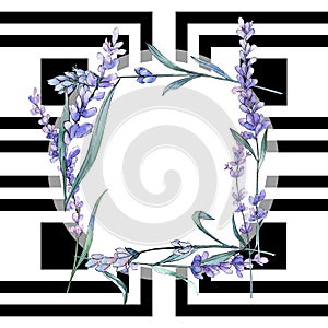 Purple lavender. Floral botanical flower. Wild spring leaf wildflower. Frame border ornament square.