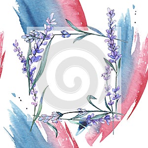 Purple lavender. Floral botanical flower. Wild spring leaf wildflower. Frame border ornament square.