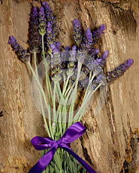 Purple lavender flowers on bark