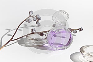 Purple lavender smell perfume cosmetic beauty glass mockup bottle with dried flower flora on white background